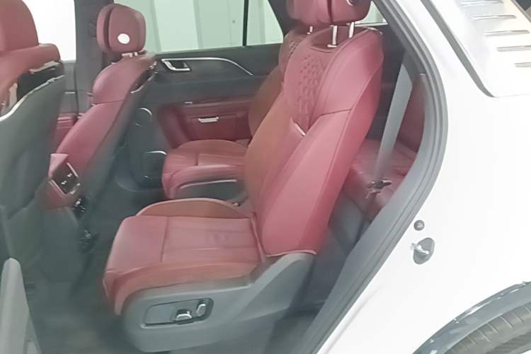 Used Hongqi E-HS9 2021 460 km Range Flagship Edition Six-Seater Left Rear Seat
