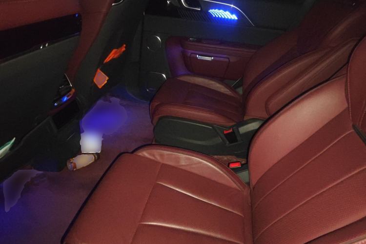 Used Hongqi E-HS9 2021 510 km Range Flagway Edition Six Seats Left Rear Seat