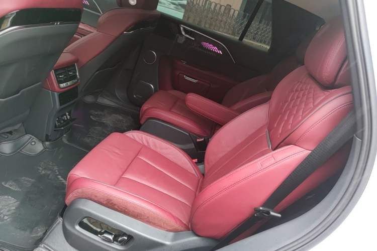 Used Hongqi E-HS9 2021 510 km Range Flagway Edition Six Seats Left Rear Seat