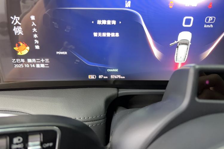Used Hongqi E-HS9 2021 510 km Range Flagway Edition Six Seats Odometer Close Up
