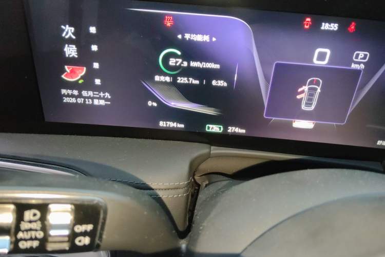 Used Hongqi E-HS9 2021 460 km Range Flagship Edition Six-Seater Odometer Close Up