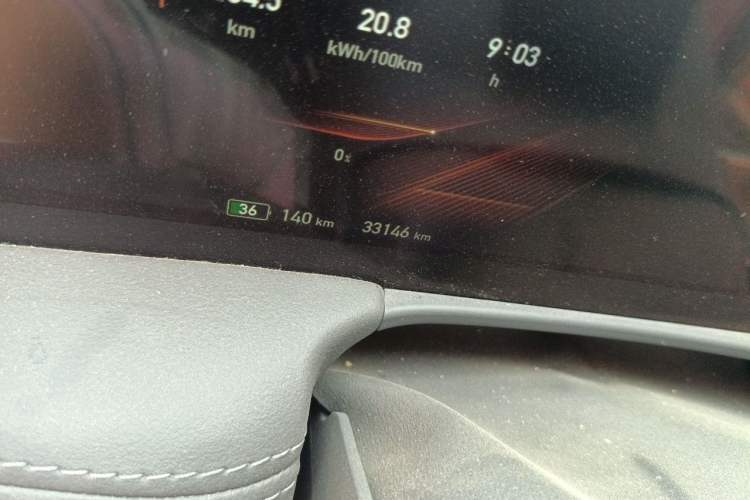Used Hongqi E-HS9 2021 510 km Range Flagway Edition Six Seats Odometer Close Up