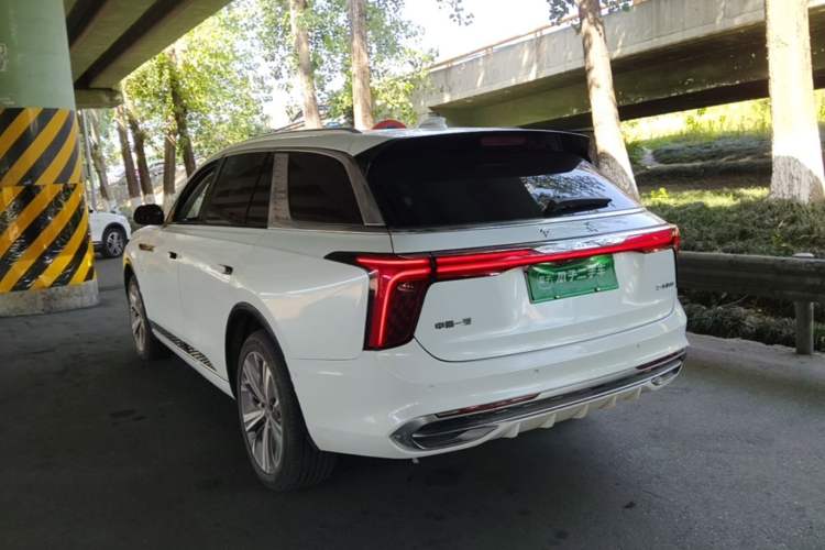 Used Hongqi E-HS9 2021 460 km Range Flagship Edition Six-Seater Rear Left 45 Deg