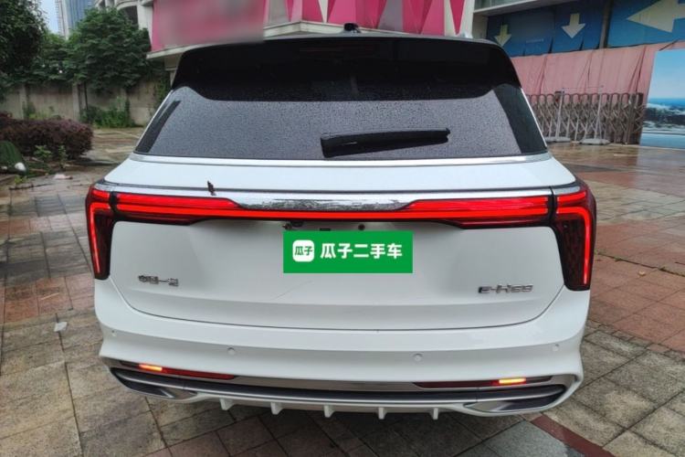 Used Hongqi E-HS9 2021 510 km Range Flagway Edition Six Seats Rear