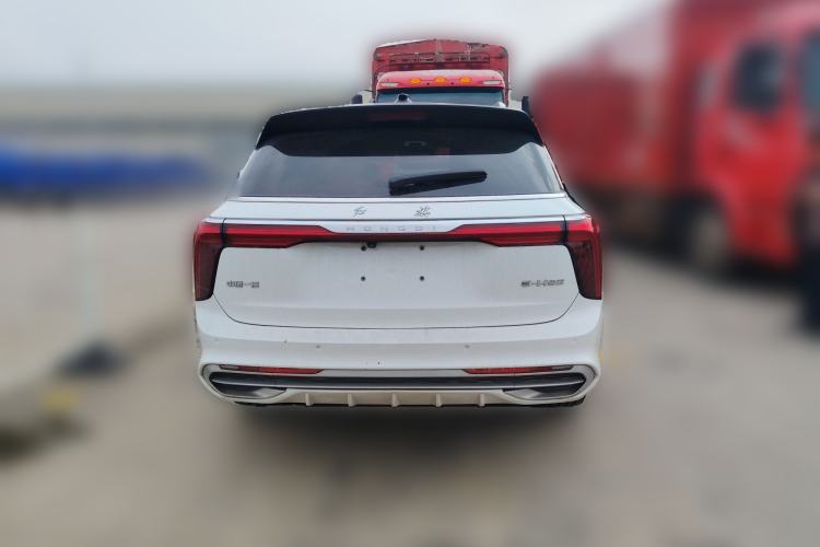 Used Hongqi E-HS9 2021 460 km Range Flagship Edition Six-Seater Rear