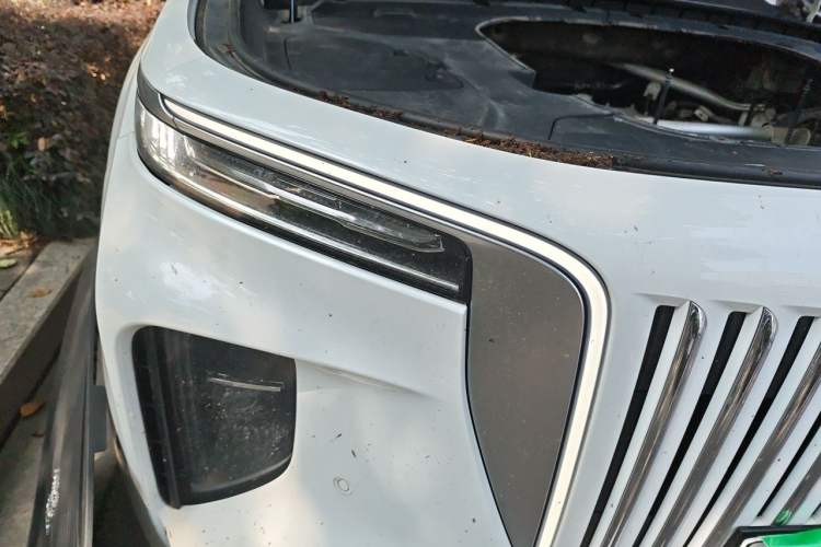 Used Hongqi E-HS9 2021 510 km Range Flagway Edition Six Seats Right Front Headlight