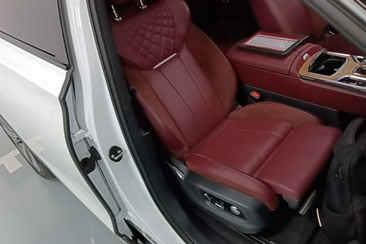 Used Hongqi E-HS9 2021 460 km Range Flagship Edition Six-Seater Right Front Seat