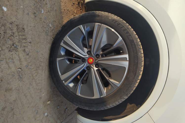 Used Hongqi E-HS9 2021 460 km Range Flagship Edition Six-Seater Right Front Wheel Hub
