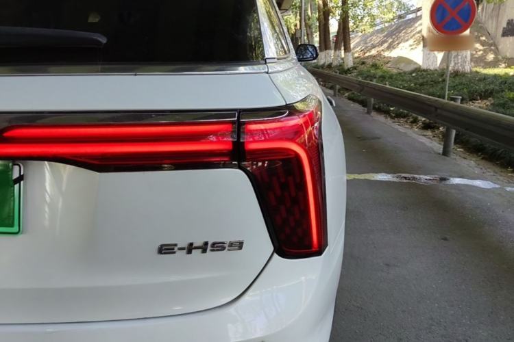Used Hongqi E-HS9 2021 460 km Range Flagship Edition Six-Seater Right Rear Taillight