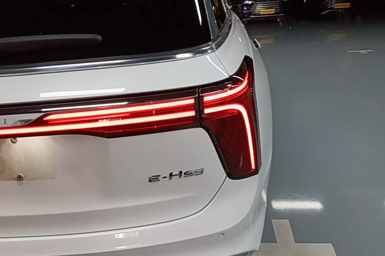 Used Hongqi E-HS9 2021 460 km Range Flagship Edition Six-Seater Right Rear Taillight
