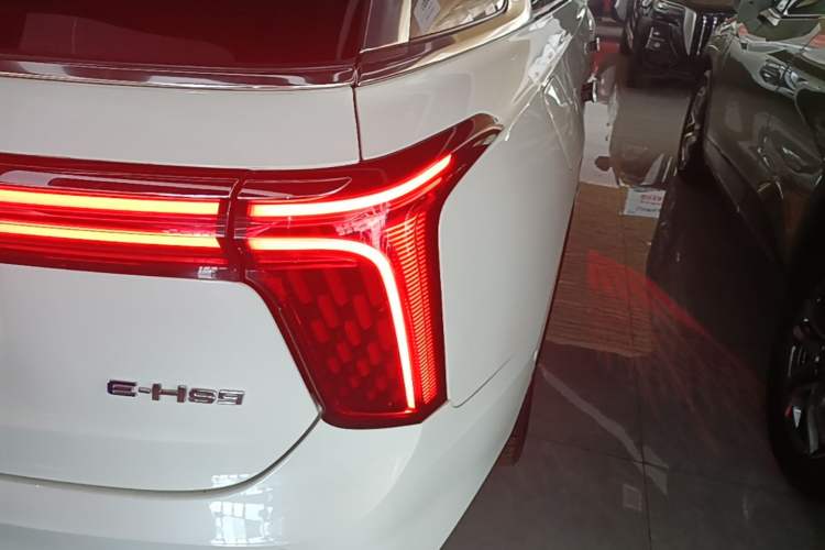 Used Hongqi E-HS9 2021 510 km Range Flagway Edition Six Seats Right Rear Taillight