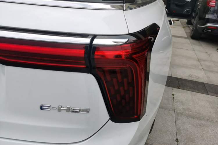 Used Hongqi E-HS9 2021 460 km Range Flagship Edition 7-Seater Right Rear Taillight