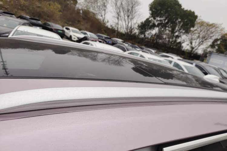 Used Hongqi E-HS9 2021 460 km Range Flagship Edition Six-Seater Roof