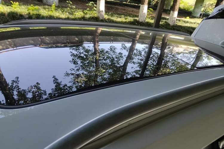 Used Hongqi E-HS9 2021 460 km Range Flagship Edition Six-Seater Roof