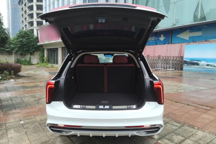 Used Hongqi E-HS9 2021 510 km Range Flagway Edition Six Seats Trunk