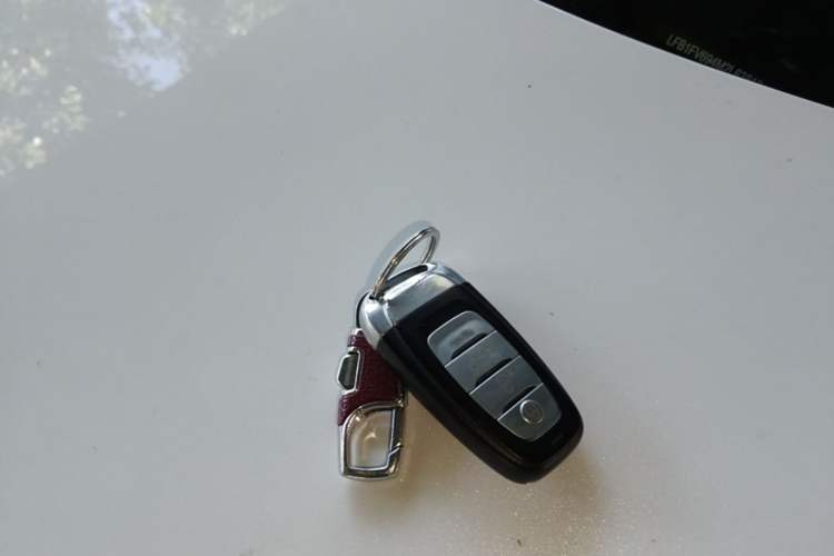 Used Hongqi E-HS9 2021 460 km Range Flagship Edition Six-Seater Vehicle Key