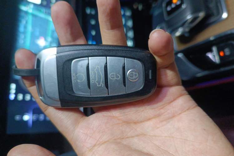 Used Hongqi E-HS9 2021 510 km Range Flagway Edition Six Seats Vehicle Key