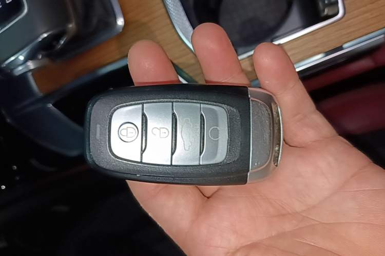 Used Hongqi E-HS9 2021 460 km Range Flagship Edition Six-Seater Vehicle Key