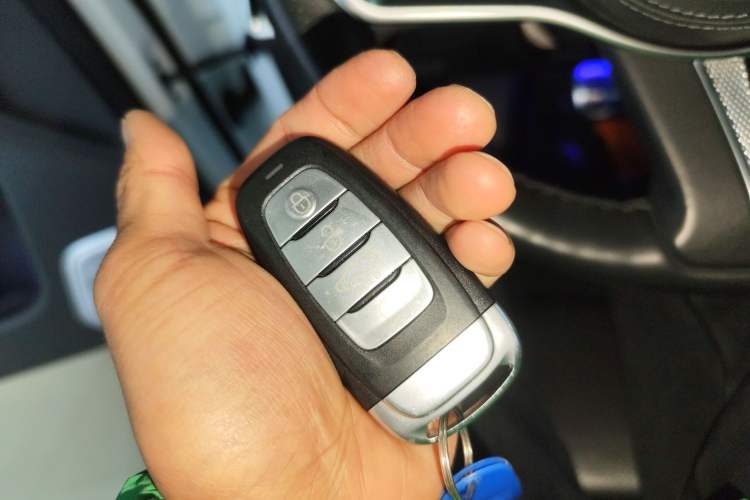 Used Hongqi E-HS9 2021 510 km Flagship Edition Four Seats Vehicle Key