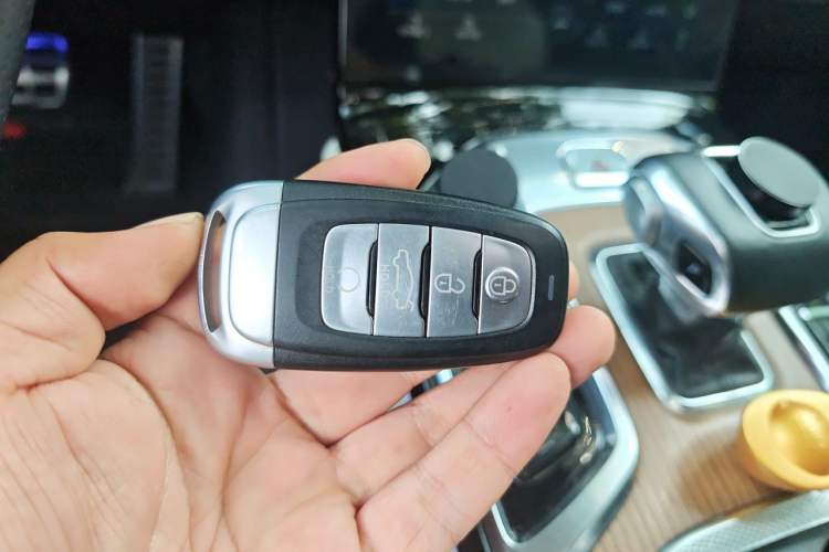 Used Hongqi E-HS9 2021 510 km Range Flagway Edition Six Seats Vehicle Key