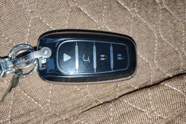 Used Hongqi E-HS9 2021 460 km Range Flagship Edition Six-Seater Vehicle Key