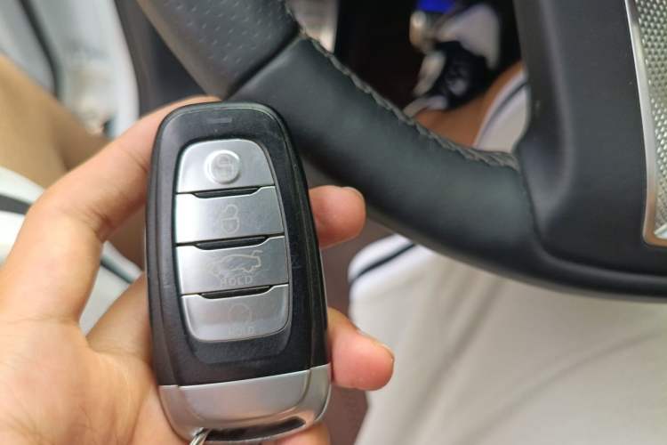 Used Hongqi E-HS9 2021 510 km Range Flagway Edition Six Seats Vehicle Key