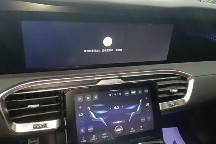 Used Hongqi E-HS9 2022 690 km Range Flagship Edition Six Seats Audio And AC Panel