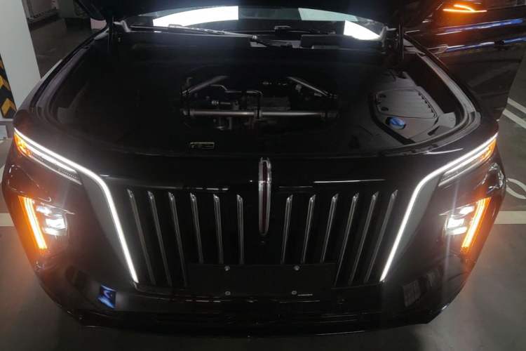 Used Hongqi E-HS9 2022 690 km Range Flagship Edition Six Seats Engine Bay
