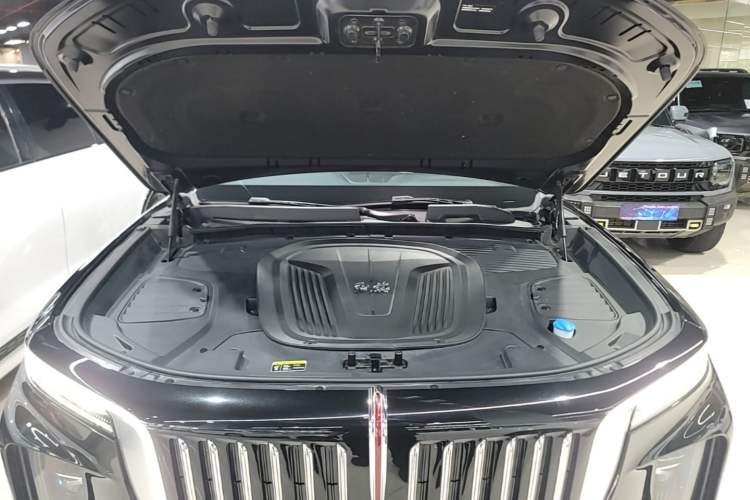 Used Hongqi E-HS9 2022 660 km Range Flagway Edition Six Seats Engine Bay