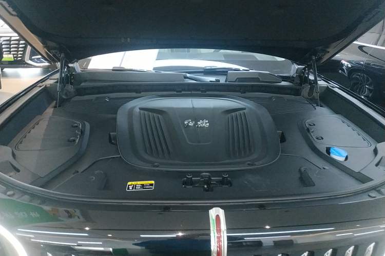Used Hongqi E-HS9 2022 660 km Range Flagship Edition Four Seats Engine Bay