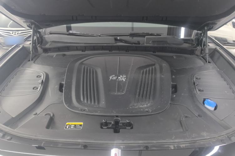 Used Hongqi E-HS9 2022 660 km Range Flagway Edition Six Seats Engine Bay