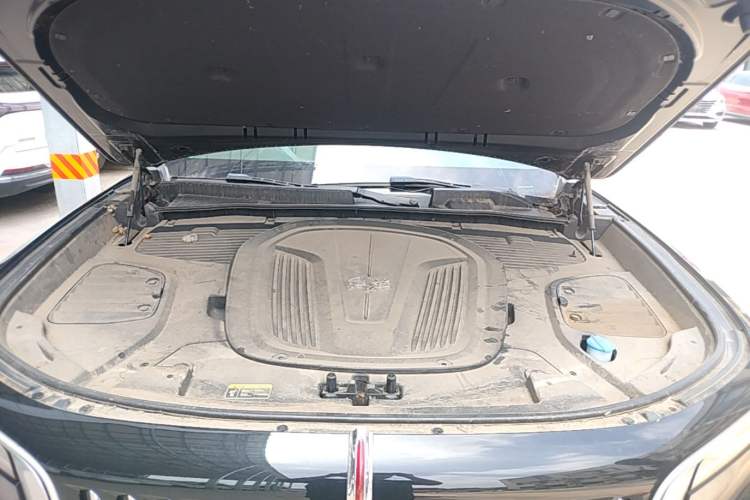 Used Hongqi E-HS9 2022 660 km Range Flagway Edition Six Seats Engine Bay