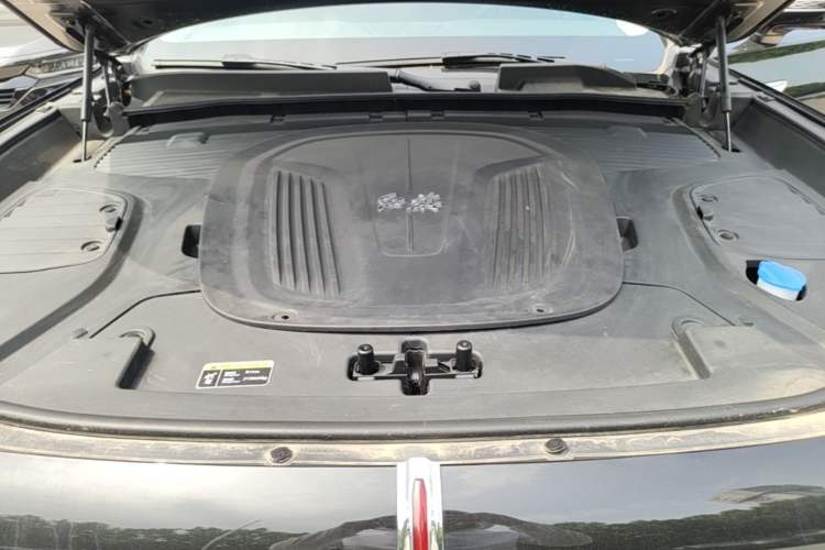Used Hongqi E-HS9 2022 660 km Range Flagway Edition Six Seats Engine Bay