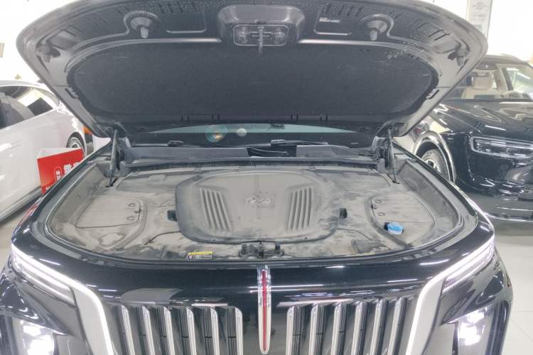 Used Hongqi E-HS9 2022 690 km Range Flagship Edition Six Seats Engine Bay