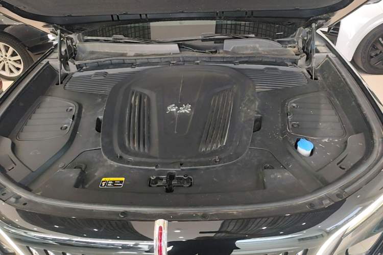 Used Hongqi E-HS9 2022 690 km Range Flagship Edition Six Seats Engine Bay