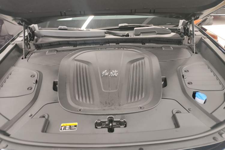 Used Hongqi E-HS9 2022 660 km Range Flagway Edition Six Seats Engine Bay