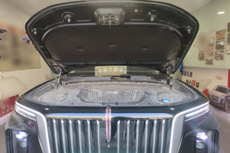 Used Hongqi E-HS9 2022 660 km Range Flagway Edition Six Seats Engine Bay