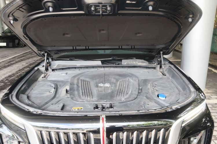 Used Hongqi E-HS9 2022 660 km Range Flagway Edition Six Seats Engine Bay