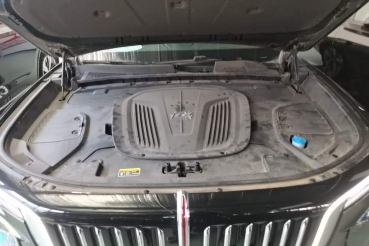 Used Hongqi E-HS9 2022 660 km Range Flagway Edition Six Seats Engine Bay