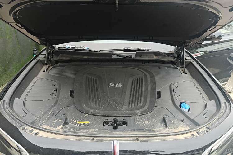 Used Hongqi E-HS9 2022 660 km Range Flagway Edition Six Seats Engine Bay