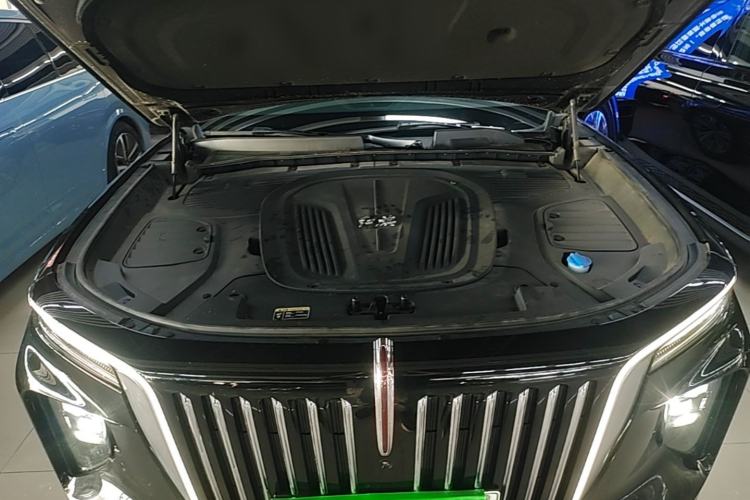 Used Hongqi E-HS9 2022 660 km Range Flagway Edition Six Seats Engine Bay