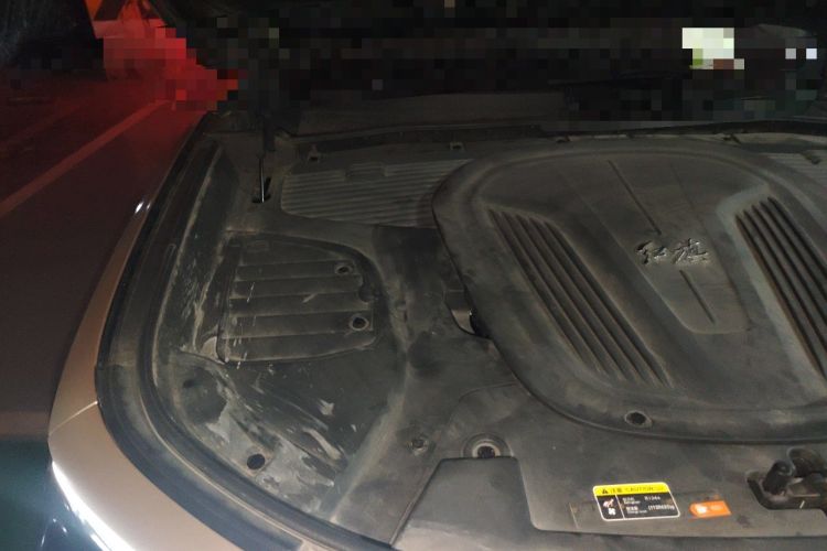 Used Hongqi E-HS9 2022 660 km Range Flagway Edition Six Seats Engine Bay Right