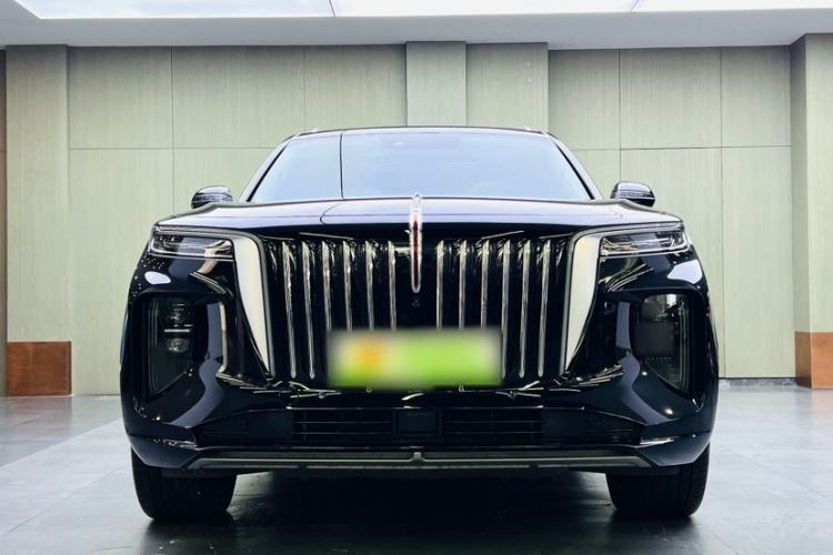Used Hongqi E-HS9 2022 690 km Range Flagship Edition Six Seats Exterior 2