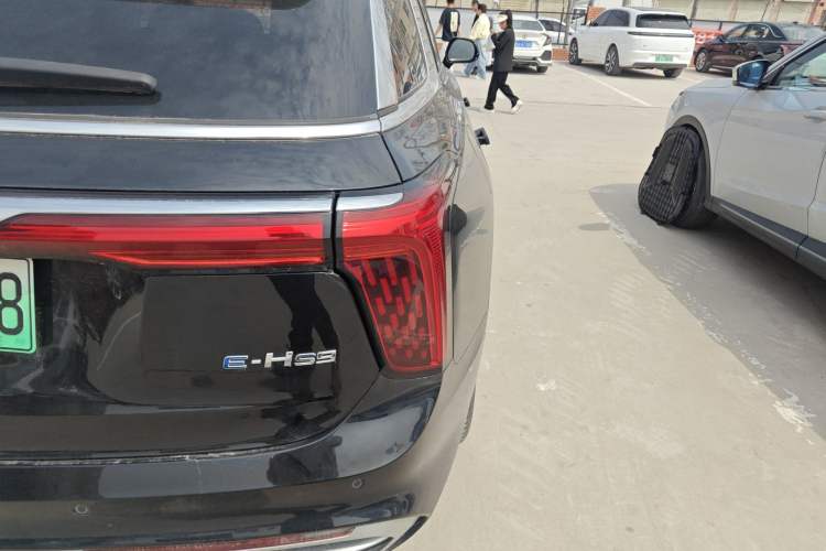 Used Hongqi E-HS9 2022 660 km Range Flagway Edition Six Seats Exterior 3