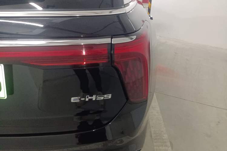 Used Hongqi E-HS9 2022 660 km Range Flagway Edition Six Seats Exterior 3