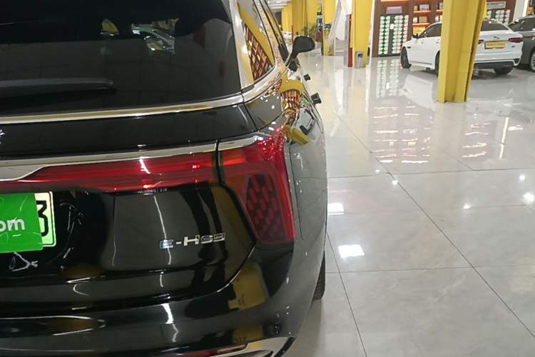 Used Hongqi E-HS9 2022 690 km Range Flagship Edition Six Seats Exterior 3