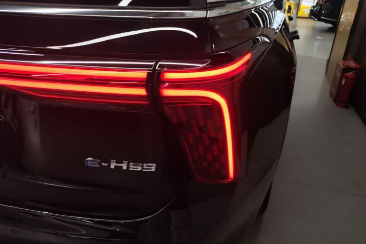 Used Hongqi E-HS9 2022 690 km Range Flagship Edition Six Seats Exterior 3