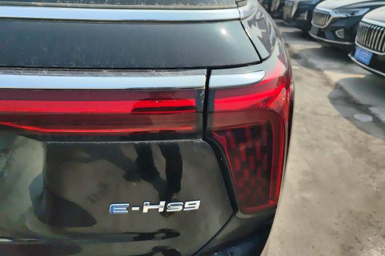 Used Hongqi E-HS9 2022 690 km Range Flagship Edition Six Seats Exterior 3