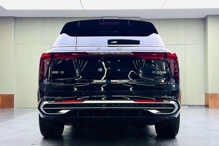 Used Hongqi E-HS9 2022 690 km Range Flagship Edition Six Seats Exterior 4