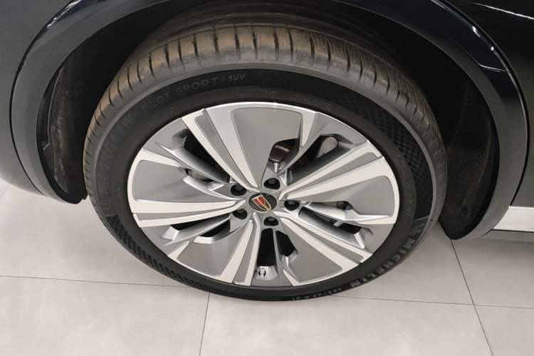 Used Hongqi E-HS9 2022 690 km Range Flagship Edition Six Seats Exterior 4